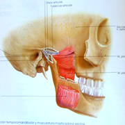 disfuncion temporomandibular